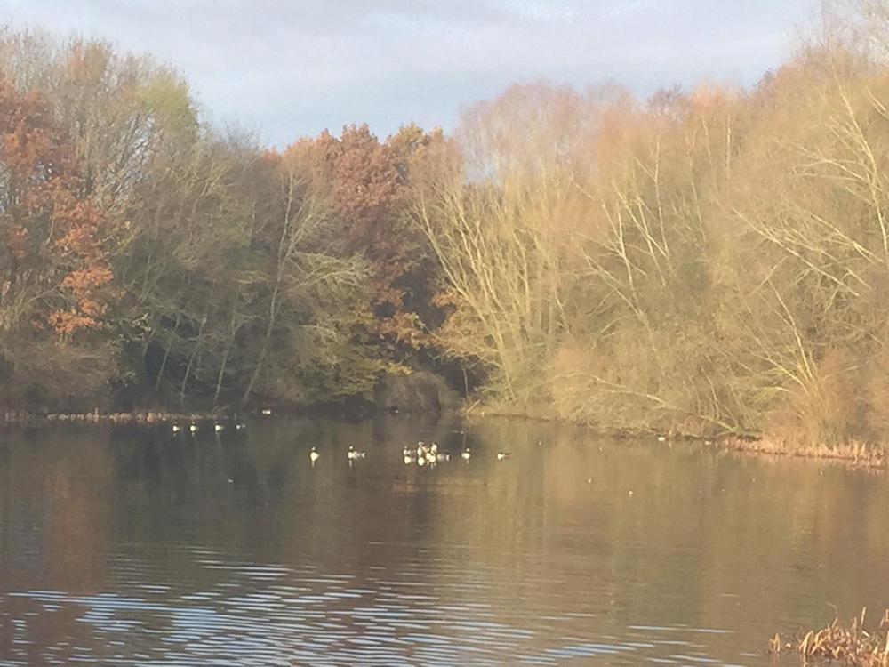 -a_peaceful_early_morning_at_the_reservoir