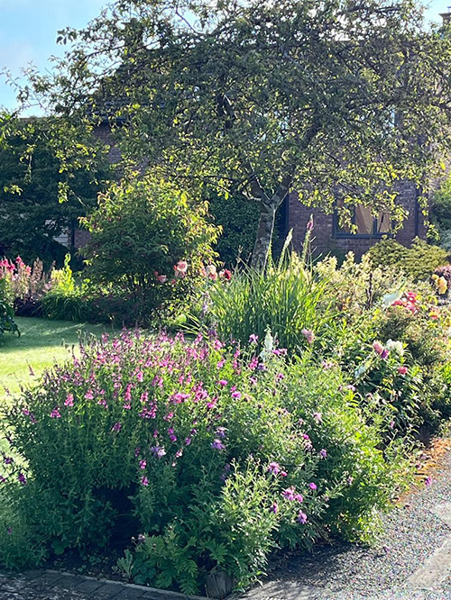 -beautiful_village_garden