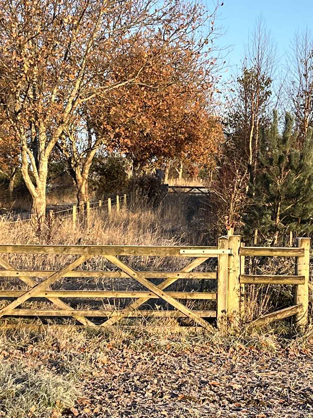 -footpath_on_a_sunny_autumn_morning