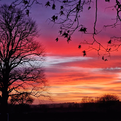 -glorious_sunset_over_bodicote