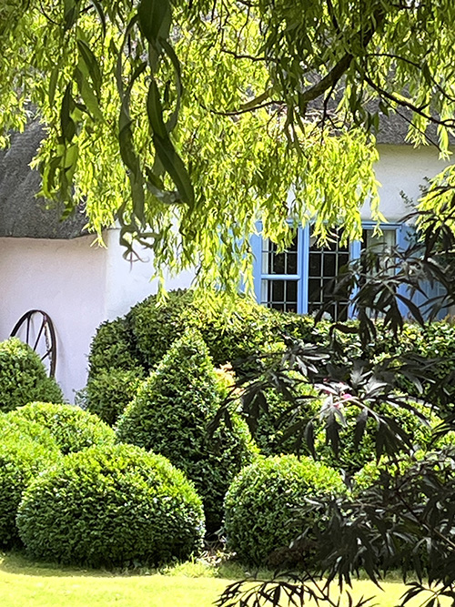 -green_topiary_in_a_village_garden